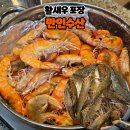 녹색로 | 순천 대하구이 활새우 파는곳 벌교 왕새우포장 후기