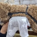 두암동물병원 이미지