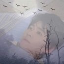 더노벰버라운지 고대점 이미지