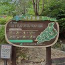 토곡근린공원조형물 | 부산 사상 가볼만한곳 사상근린공원 사상정원 수국 정원 산책 후기