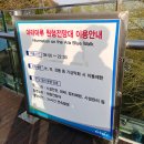 인천 아라마루 원형전망대, 360도 뷰와 스릴 넘치는 유리바닥