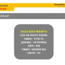 트리아이나 이미지