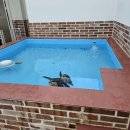 수달수영장 이미지