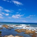 변월도