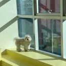 수원-0522 이미지