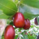 상수민박 이미지