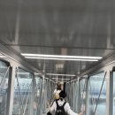 합천 H.C. HOTEL | 얼라이언스 적립 / 에어차이나 환승호텔 / 특별기내식 신청 /lanwan hotel / 헤이티/헌지우이치엔 양꼬치