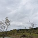 호수공원 관리사무소 옆 이미지