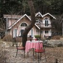 봉평메밀꽃막국수 이미지