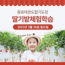 충효합기도 이미지
