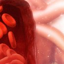 안종훈내과의원 이미지