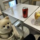 (주)베베와 이미지