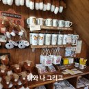 런던베이글뮤지엄 안국 지하(LONDON BAGEL MUSEUM) | 런던베이글 뮤지엄 안국점 웨이팅 꿀팁! 주차 후 포장 후기