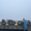 무명화가의 집 | 제주도 스쿠터 여행 5일차 동쪽 코스: 성산,종달리,비자림,몽탄 | 일주 마지막