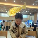 카츠라 | 김포공항 롯데몰 맛집 명동카츠라 방문후기｜아이와 먹기 좋은 치즈로스가츠 & 탄탄라멘