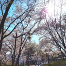 황새울교 앞 이미지