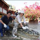 민지농장 이미지