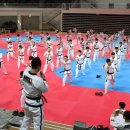 엠티에이태권도 이미지