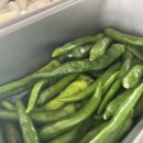 지리산 복돼지 이미지