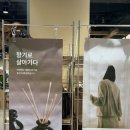 향 | 무지 추천템 공간 분위기 달라지는 MUJI 오일 디퓨저 추천 향 후기