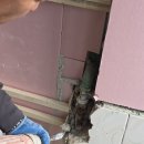 상수도사업소 이미지