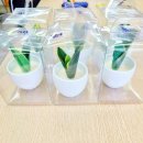 광주서구가족센터 | 광주 서구장애인복지센터 출강 후기｜식목일 기념 왁스플랜트 캔들 수업