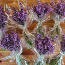 분토농장 이미지