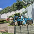 내돈내산, 경북 울진 덕구온천 대온천장 이용 후기 | 2026.05.31(일)