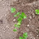 와부농업협동조합경제사업소 이미지