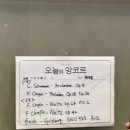 2025 반 클라이번 국제 피아노 콩쿠르 우승자 리사이틀 | [공연후기] 제 19회 쇼팽 국제 피아노 콩쿠르 위너스 콘서트 에릭 루 &amp; 빈센트 옹 리사이틀 예술의전당