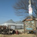 일영랜드 이미지