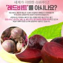 레트 비트(Red Beet, 속붉은 무) 꼭 필요하신 분~ 이미지