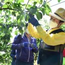 조군농장 이미지