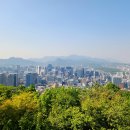 숲내음공원 이미지