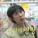 핑크닉 이미지