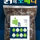 흙광고