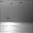 사랑의 대화 이미지