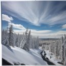 2025년도 상반기 국토교통부 실거래가 기준 세종특별자치시 한솔동 반곡동 집현동 아파트 매매정보 이미지