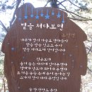 봉암대교 이미지