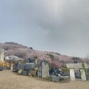 중성동111 | 진해 (군항제) 여행 1박 2일 3/26, 27