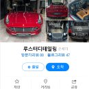 루스터디테일링 이미지