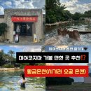 삼작로60번길 2 ↔ 삼작로60번길 65 | 미야코지마 여행 : 가볼 만한 곳 추천 황금 온천 (시기라 오공 온센)
