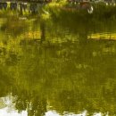 고현낚시터 이미지