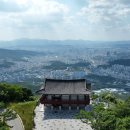 경동오징어국수식당 이미지
