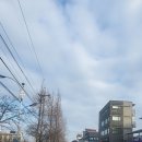 (주)더본 감자탕 이미지