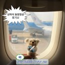 5044 | #3] 3월 상하이 여행 준비 | 아고다 중국동방항공 MU5044 항공 기내식 좌석 및 푸동공항 입국심사 후기