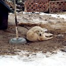 진여울펜션 이미지