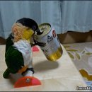 추적 60병