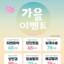 드레스성형외과 네이버블로그