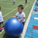 공굴리기 이미지